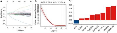 A novel prognostic classification integrating lipid metabolism and immune co-related genes in acute myeloid leukemia